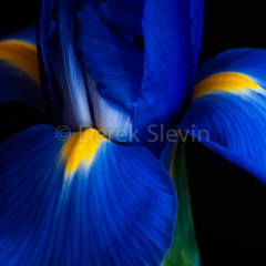 Serenity-021310-5866