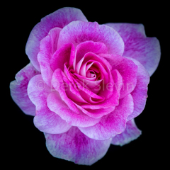 Gift-of-Rhythm-040618-0974